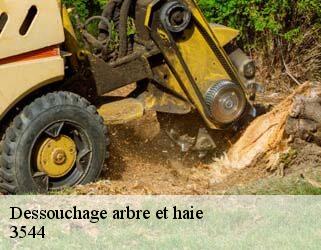 Dessouchage arbre et haie  3544