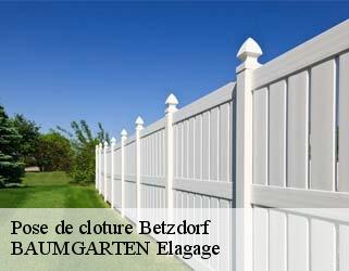 Pose de cloture  betzdorf- BAUMGARTEN Elagage