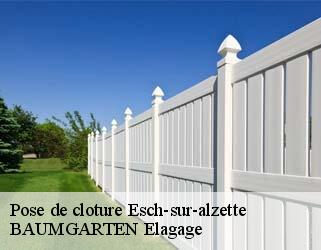 Pose de cloture  esch-sur-alzette- BAUMGARTEN Elagage