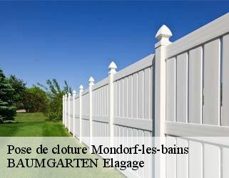 Pose de cloture  mondorf-les-bains- BAUMGARTEN Elagage