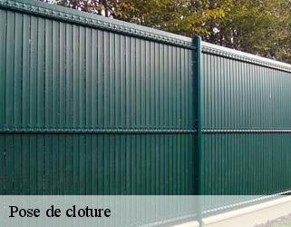 Pose de cloture