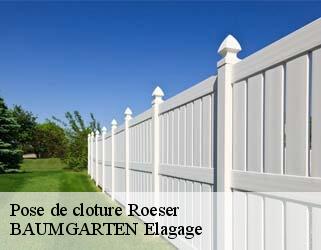 Pose de cloture roeser- BAUMGARTEN Elagage