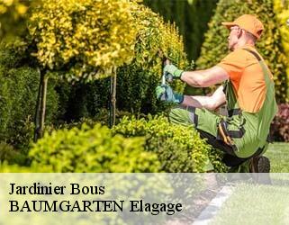 Jardinier  bous- BAUMGARTEN Elagage