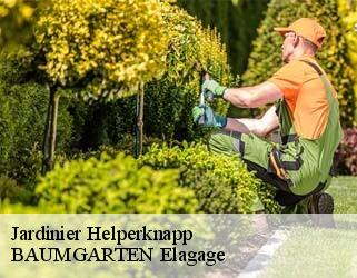 Jardinier  helperknapp- BAUMGARTEN Elagage