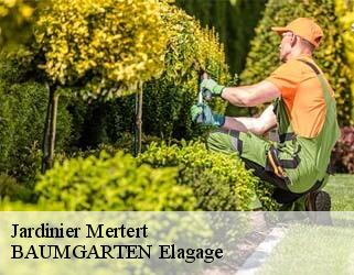 Jardinier mertert- BAUMGARTEN Elagage
