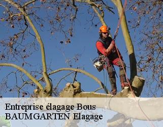Entreprise élagage  bous- BAUMGARTEN Elagage