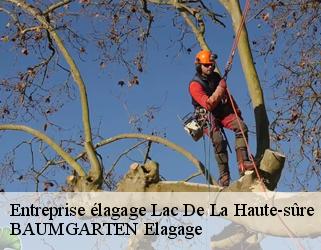 Entreprise élagage  lac-de-la-haute-sure- BAUMGARTEN Elagage