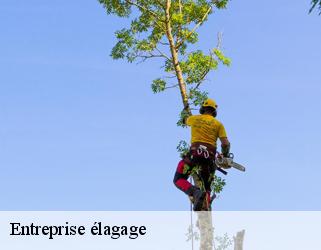 Entreprise élagage