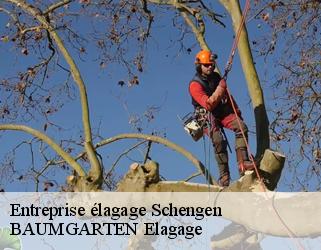 Entreprise élagage  schengen- BAUMGARTEN Elagage