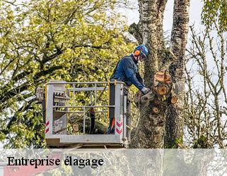 Entreprise élagage  