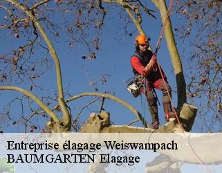 Entreprise élagage  weiswampach- BAUMGARTEN Elagage