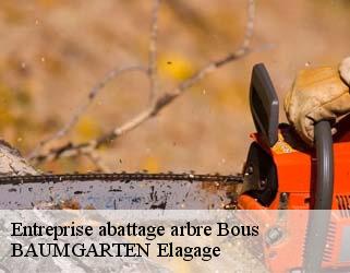 Entreprise abattage arbre  bous- BAUMGARTEN Elagage