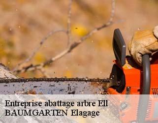 Entreprise abattage arbre  ell- BAUMGARTEN Elagage