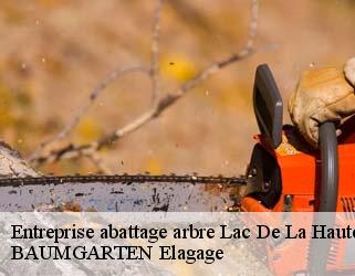 Entreprise abattage arbre  lac-de-la-haute-sure- BAUMGARTEN Elagage