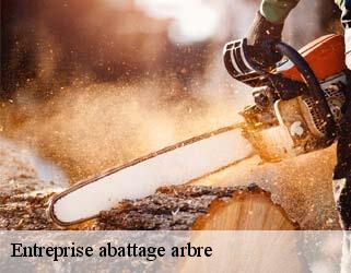 Entreprise abattage arbre