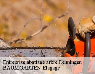 Entreprise abattage arbre  lenningen- BAUMGARTEN Elagage