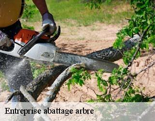 Entreprise abattage arbre  