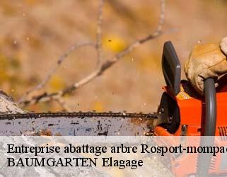 Entreprise abattage arbre  rosport-mompach- BAUMGARTEN Elagage