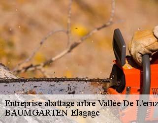 Entreprise abattage arbre  vallee-de-l-ernz- BAUMGARTEN Elagage