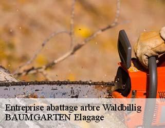 Entreprise abattage arbre  waldbillig- BAUMGARTEN Elagage