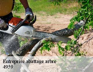 Entreprise abattage arbre  4959