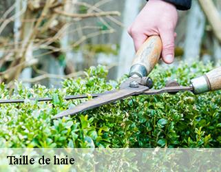 Taille de haie