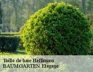 Taille de haie  heffingen- BAUMGARTEN Elagage