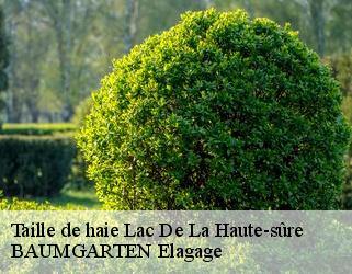 Taille de haie  lac-de-la-haute-sure- BAUMGARTEN Elagage